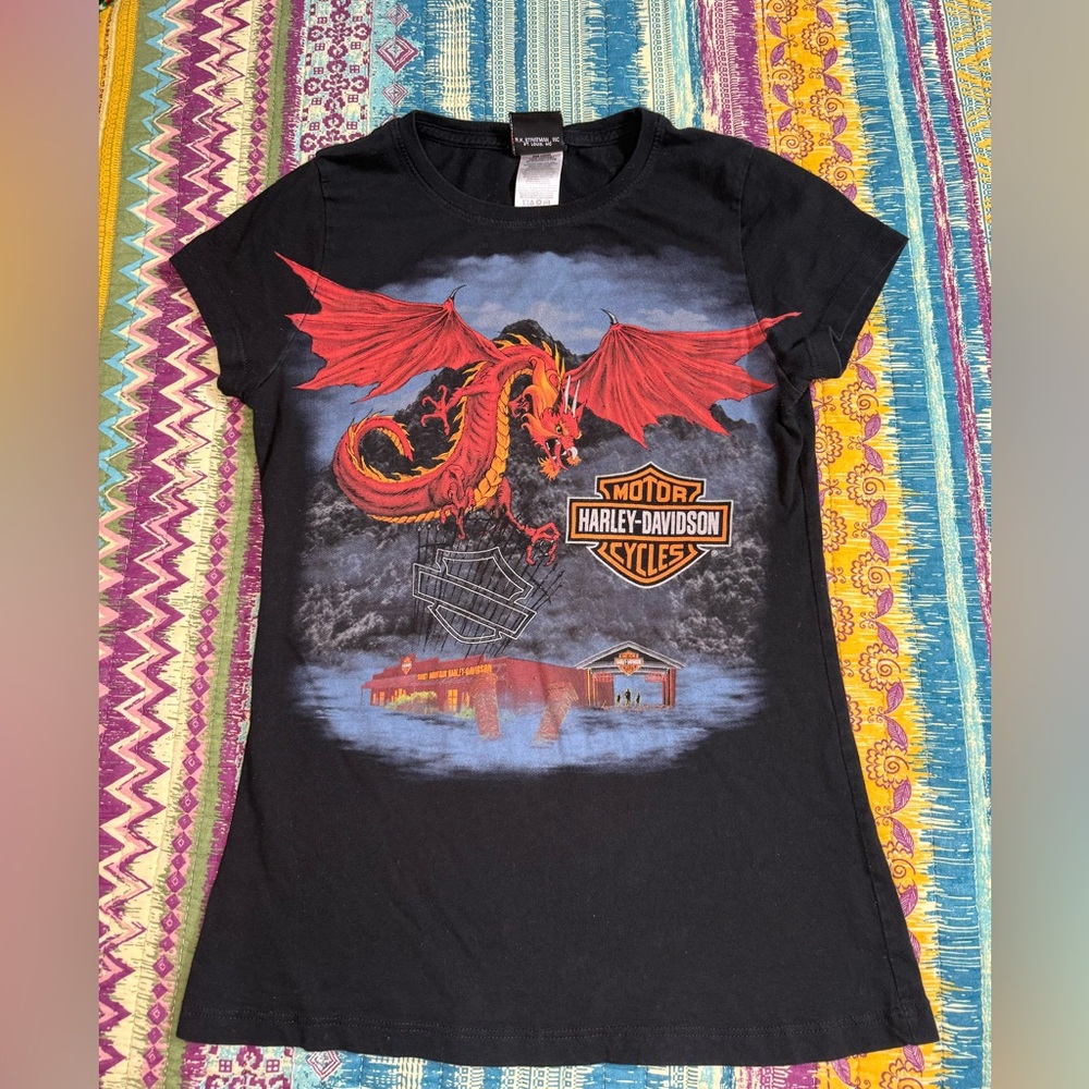 Vintage Harley Davidson Made in USA Smoky Mountain Dragon T-Shirt Medium